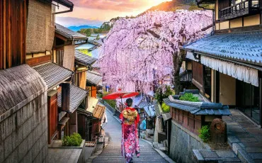 Quiz Japonais
