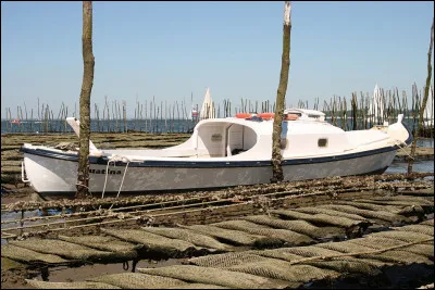 Comment appelle-t-on ces bateaux de pêche traditionnels du bassin d'Arcachon ?