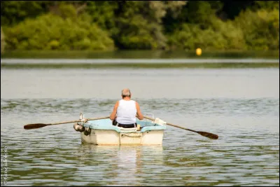 Qui est l'interprète du tube "Rame" ?