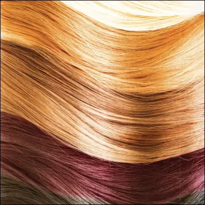 Le musée du Cheveu de Avanos contient principalement :