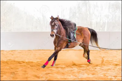 Que veut dire BANC ?