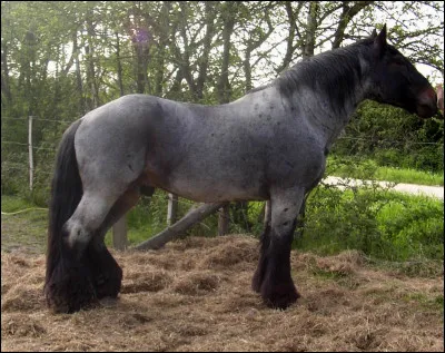 Est-ce une robe louvet ?