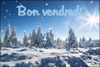 Qui est l'auteur du roman "Vendredi ou les limbes du Pacifique" ?