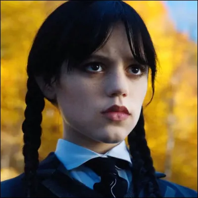 Dans quel film le personnage de Mercredi apparaît-il ?