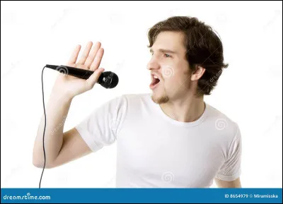 Quel chanteur préfères-tu parmi les suivants ?