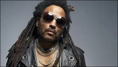 Comment appelle-t-on les mèches de cheveux emmêlées comme le porte Lenny Kravitz sur cette photo ?
