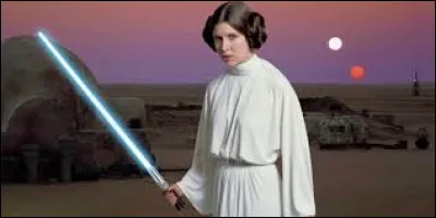 Comment appelle-t-on les deux chignons de la princesse Leila Skywalker ?