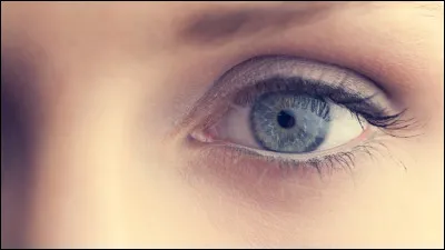 Ensuite : est-ce que ton personnage a les yeux bleus ?