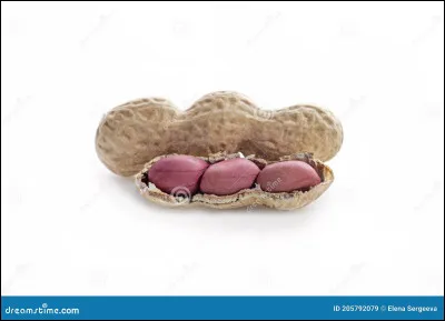 Trouve la/les bonne(s) orthographe(s). (4)