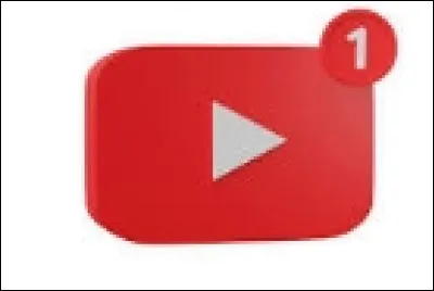 Quelle a été sa 1ère vidéo ?