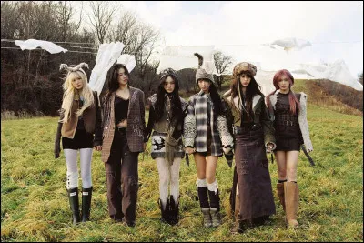 Laquelle de ces idoles ne fait pas partie du groupe Ive ?