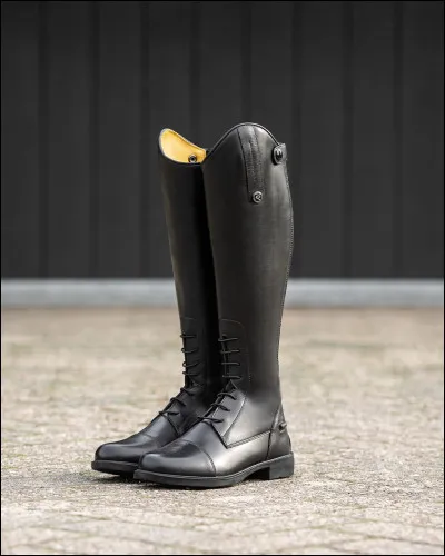 Quelle balzane n'existe pas ?