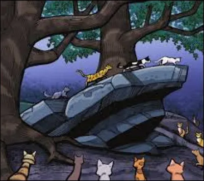 Un chat te saute dessus et te griffe, quelle est ta réaction ?