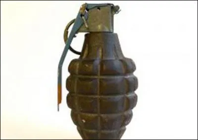 Comment s'appelle cette grenade ?