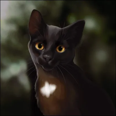 Quel est le caractère de Nuage de Jais ?