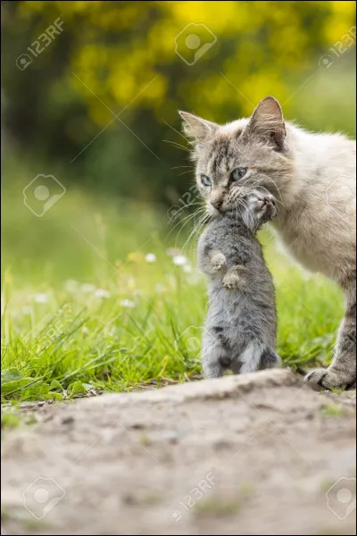 De quoi grouille le nouvel endroit de Nuage de Jais ?