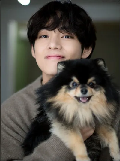 As-tu eu, ou as-tu, un chien ?