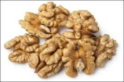 Qui était pape pendant la première guerre mondiale ?