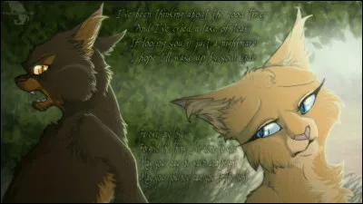 Flocon de Neige et Chipie ne croient pas au Clan des Etoiles.