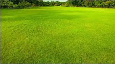 On recherche le prénom d'un joueur de rugby :