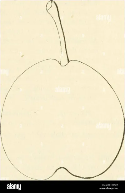 Quel pouvoir préfères-tu ?