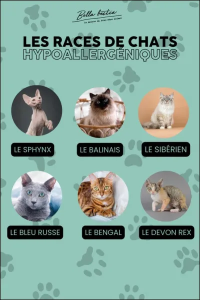 Quel climat préfères-tu ?