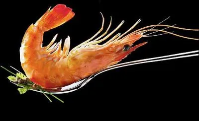 Quel est le nom de ce dlicieux crustac ?