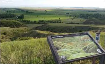 La bataille de Little Bighorn, qui a opposé le 7e régiment de cavalerie de l'armée américaine à une coalition de Sioux Lakotas et de Cheyennes menés par Sitting Bull et Crazy Horse, a constitué un épisode majeur des guerres indiennes : en quelle année était-ce ?