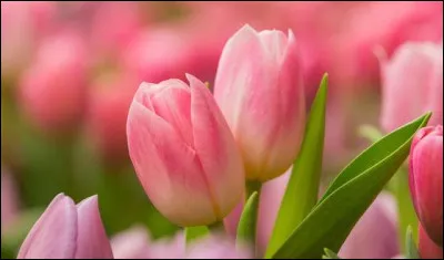 Héros de roman et de films !