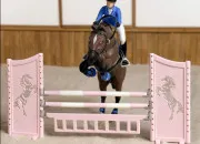 Test Qui es-tu pour les chevaux ?