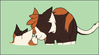 Et enfin, le dernier chaton, chat écaille et blanc comme sa mère, quel était son nom ?