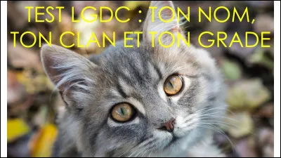 Quel est ton grade préféré ?