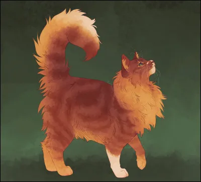 Parmi ces chats, qui sont les matous ayant déjà eu un béguin pour notre Poil d'Écureuil ?