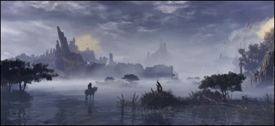 Quelle est l�anomalie visuelle qui se produit uniquement si vous portez l'armure de Lionel, en pleine nuit de pleine lune &agrave; Liurnia ?