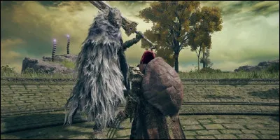 Quel est le PNJ demi-loup alli&eacute; de Ranni ?