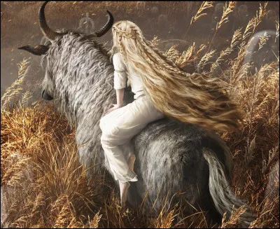 Quelle est la caract&eacute;ristique principale du cheval ?