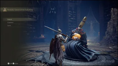 Quelle statistique n'existe pas dans Elden Ring ?