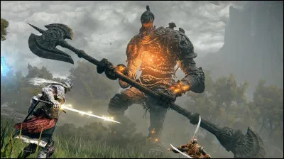 Quel boss est connu pour son combat particuli&egrave;rement difficile &agrave; Caelid ?