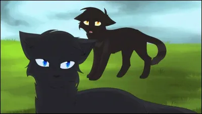 Qui sont les parents de Feuille de Houx, &OElig;il de Geai et Pelage de Lion ?