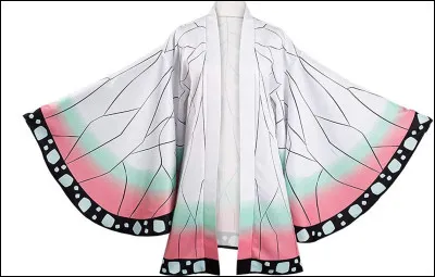 À qui appartenait ce haori avant Shinobu ?
