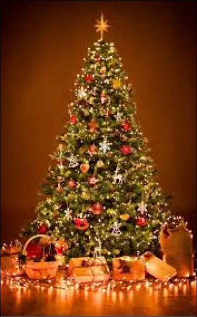 Qui l'interpr&eacute;tait ?