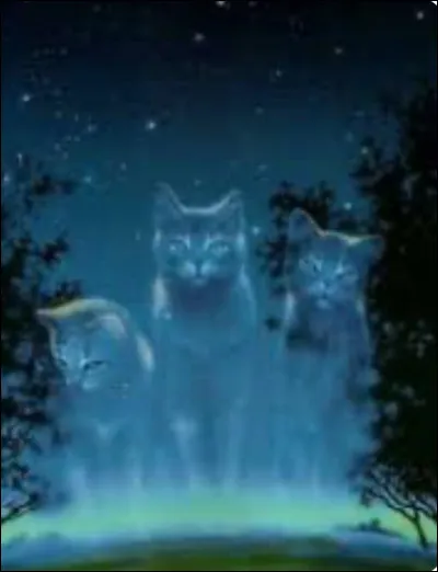 Et qui est sa mère ?