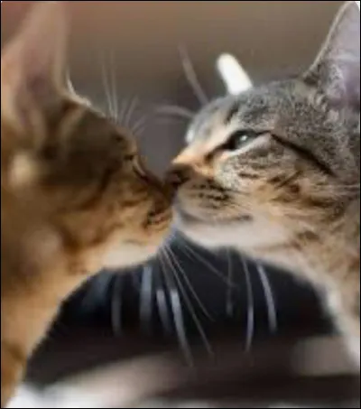 Qui sont ses parents ?