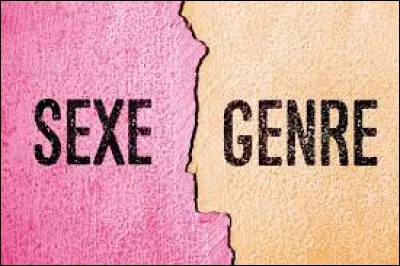 Es-tu une fille ou un garçon ?