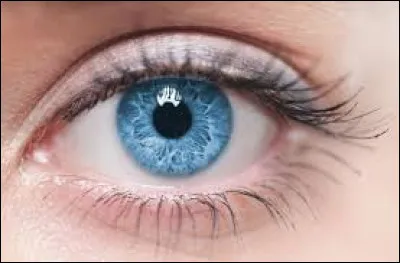Quelle couleur d'yeux aimerais-tu avoir ?