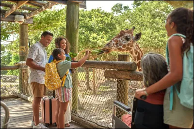 Quel animal aimes-tu ?