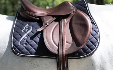 Quiz Equitation