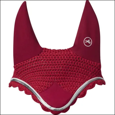 Comment s'appelle ceci ?