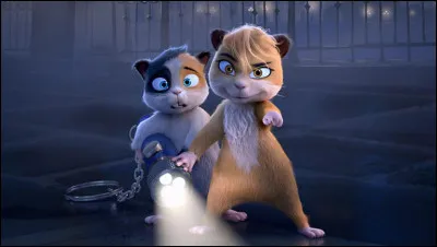 Qui sont ces 2 hamsters ?