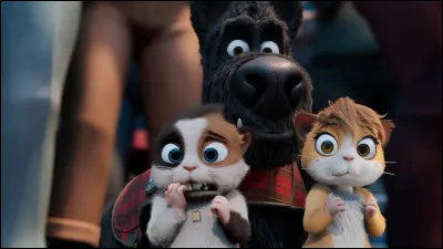 Qui est le chien sur cette photo ?